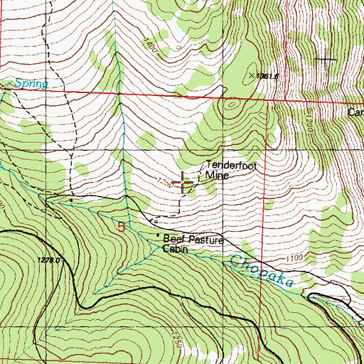 Topographic Map of Tenderfoot Mine, WA