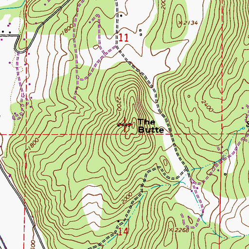 Topographic Map of The Butte, WA