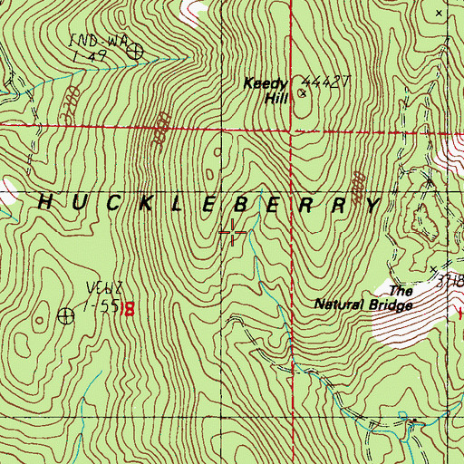Topographic Map of The Natural Bridge, WA