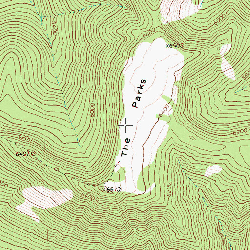 Topographic Map of The Parks, WA