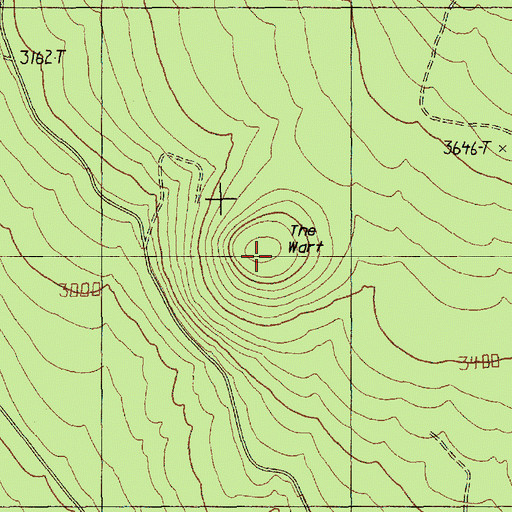 Topographic Map of The Wart, WA