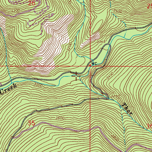 Topographic Map of Thor Creek, WA
