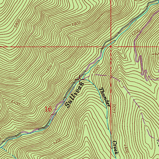 Topographic Map of Thunder Creek, WA