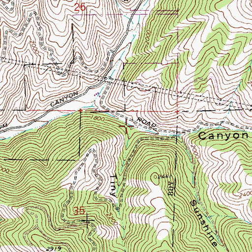 Topographic Map of Tiny Canyon, WA