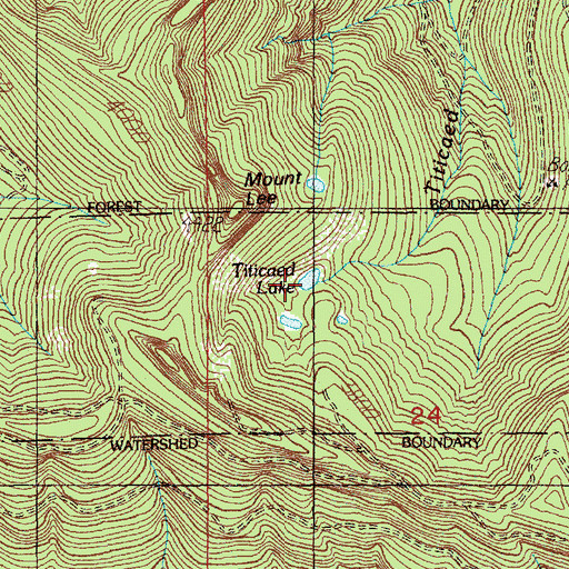 Topographic Map of Titicaed Lake, WA