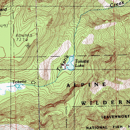 Topographic Map of Toketie Lake, WA