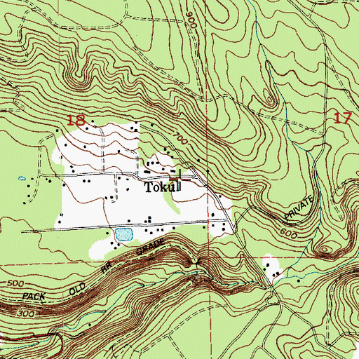 Topographic Map of Tokul, WA