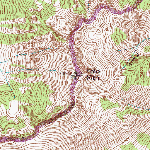 Topographic Map of Tolo Mountain, WA