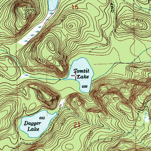 Topographic Map of Tomtit Lake, WA