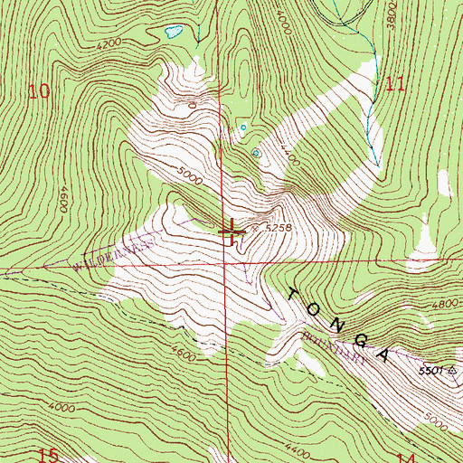 Topographic Map of Tonga Ridge, WA