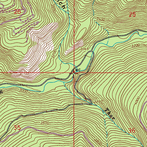 Topographic Map of Totem Gulch, WA