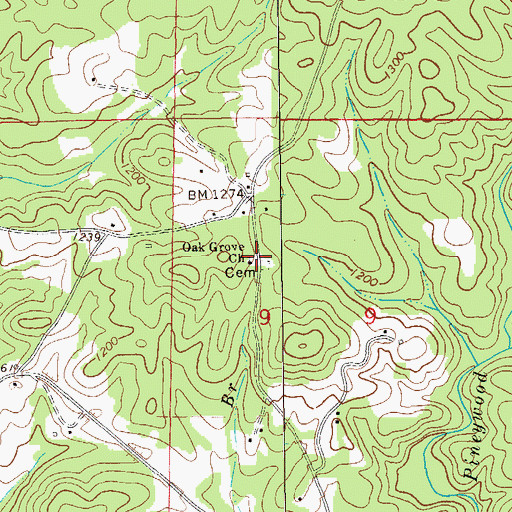 Topographic Map of Oak Grove Church, AL