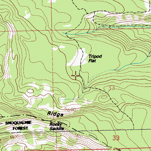 Topographic Map of Tripod Flat, WA