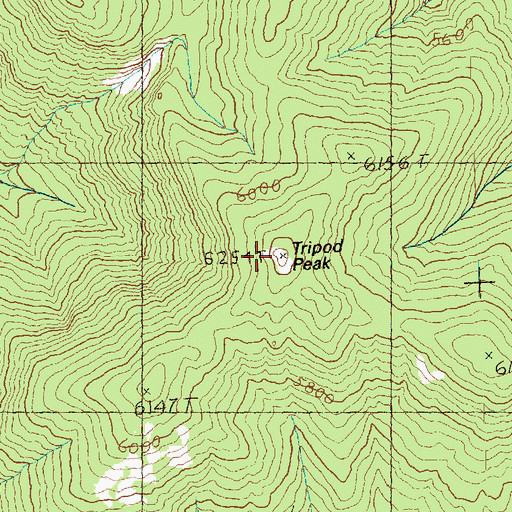 Topographic Map of Tripod Peak, WA