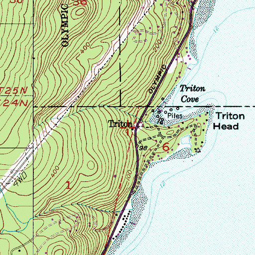 Topographic Map of Triton, WA