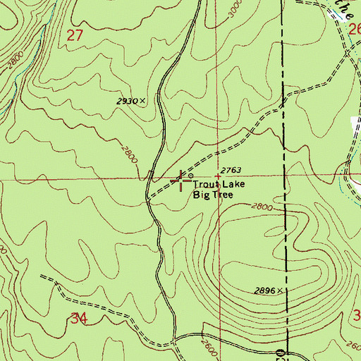 Topographic Map of Trout Lake Big Tree, WA