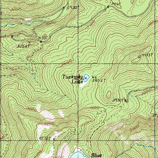 Topographic Map of Tuckway Lake, WA
