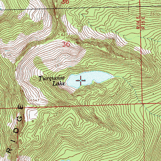 Topographic Map of Turquoise Lake, WA
