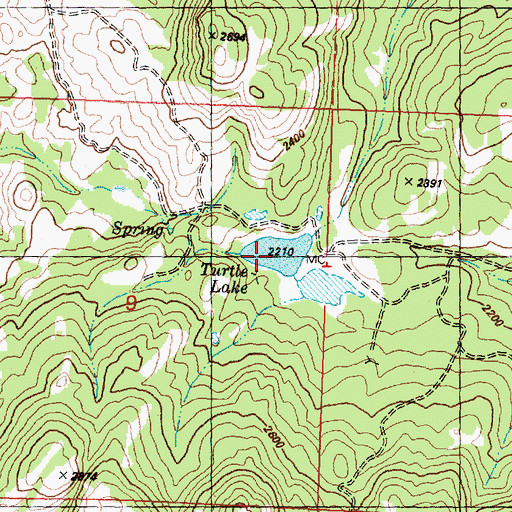 Topographic Map of Turtle Lake, WA