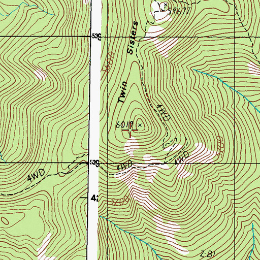 Topographic Map of Twin Sisters, WA