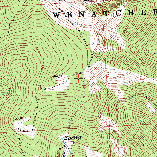 Topographic Map of Tyee Mountain, WA