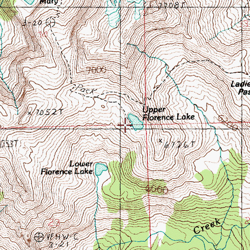 Topographic Map of Upper Florence Lake, WA