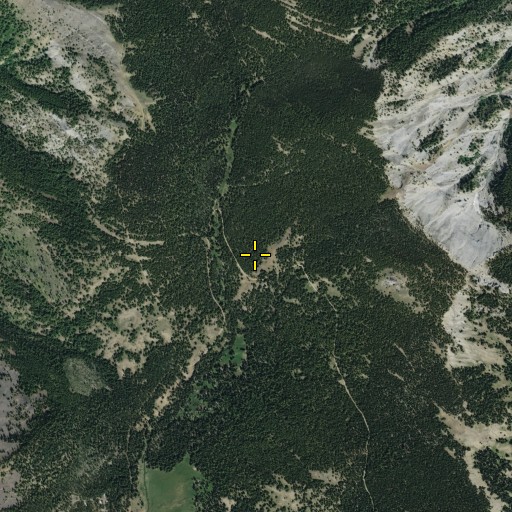 Aerial/Satellite Image of Upper Naneum Meadow, WA
