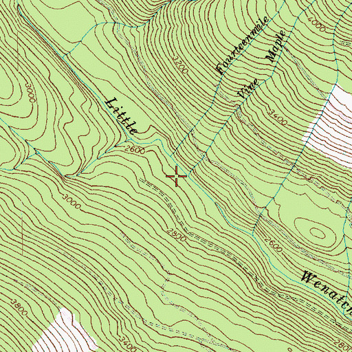Topographic Map of Vine Maple Creek, WA