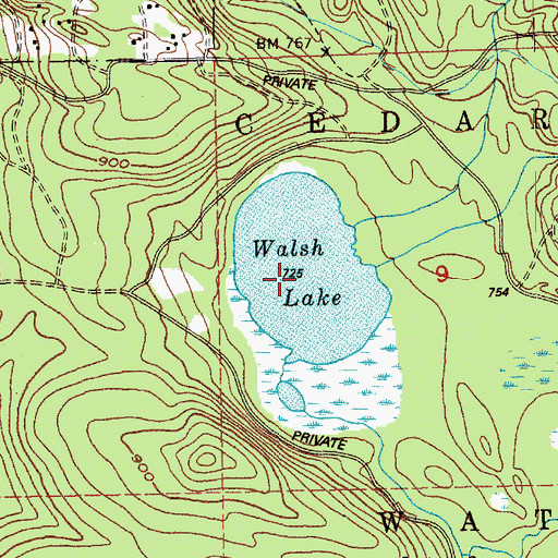 Topographic Map of Walsh Lake, WA