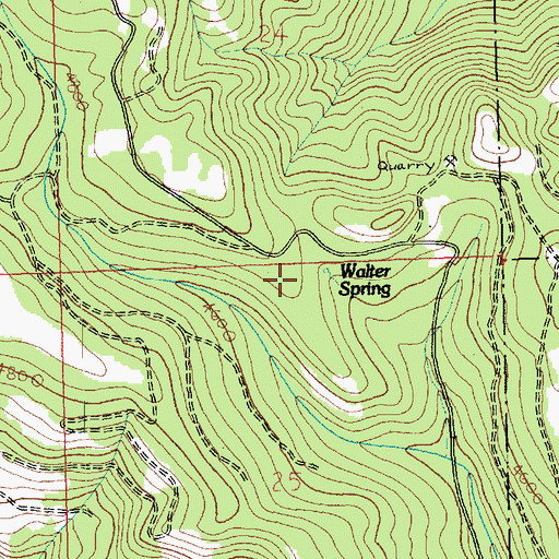 Topographic Map of Walter Spring, WA