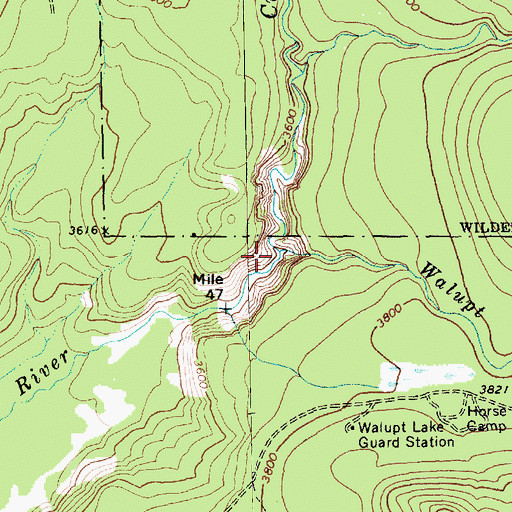 Topographic Map of Walupt Creek, WA