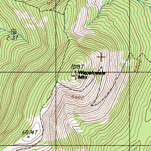 Topographic Map of Wapaloosie Mountain, WA