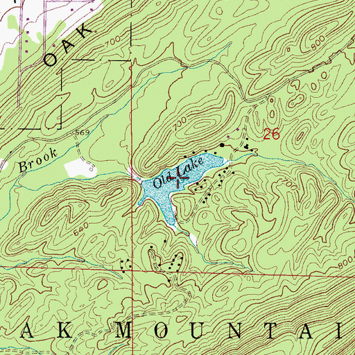 Topographic Map of Old Lake, AL