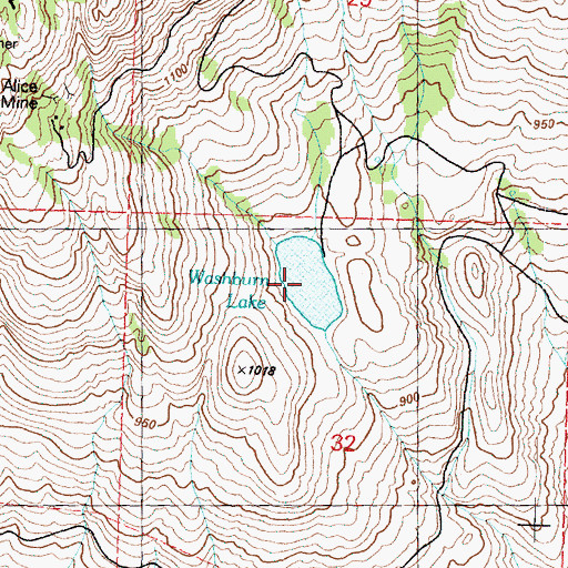 Topographic Map of Washburn Lake, WA