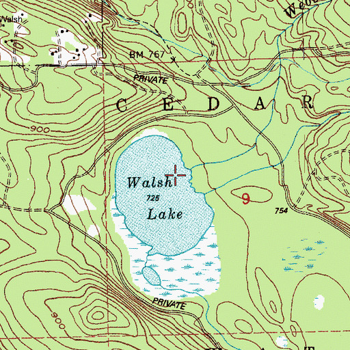 Topographic Map of Webster Creek, WA