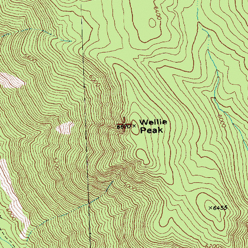 Topographic Map of Wellie Peak, WA