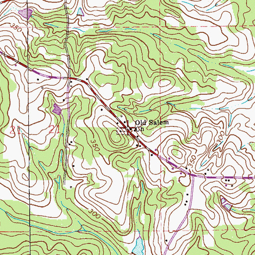 Topographic Map of Old Salem Church, AL