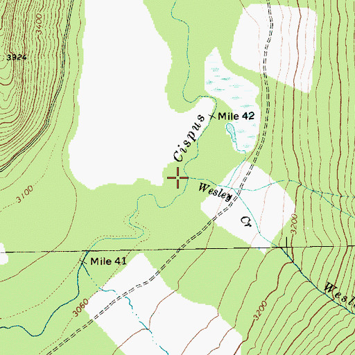 Topographic Map of Wesley Creek, WA