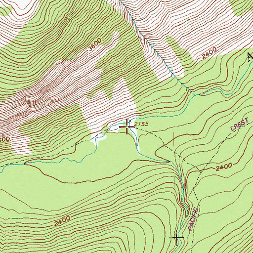 Topographic Map of West Fork Agnes Creek, WA