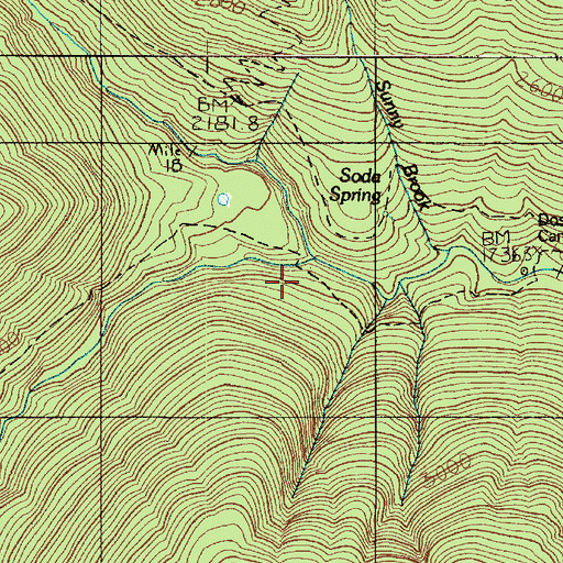 Topographic Map of West Fork Dosewallips River, WA