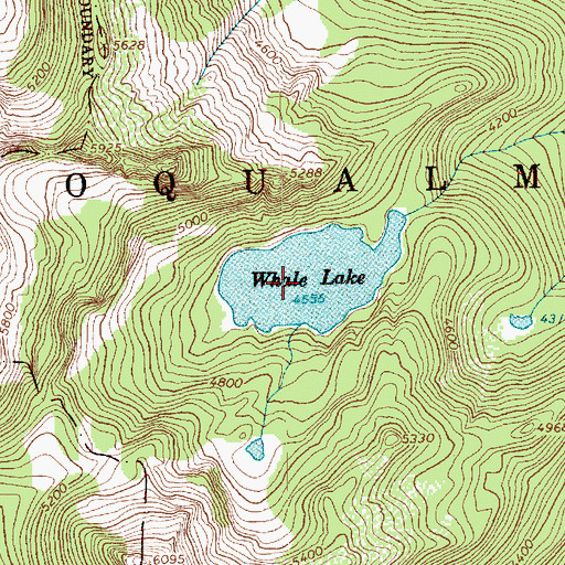 Topographic Map of Whale Lake, WA