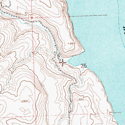 Topographic Map of Whiskey Dick Creek, WA
