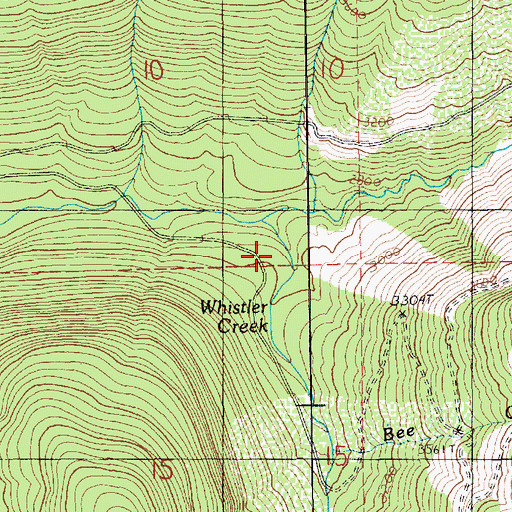 Topographic Map of Whistler Creek, WA