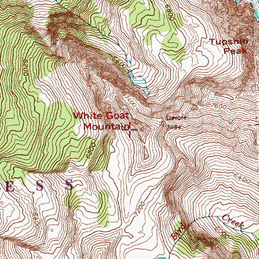 Topographic Map of White Goat Mountain, WA