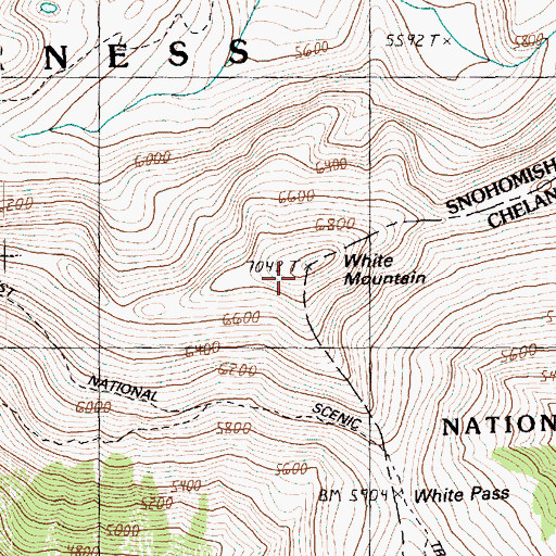 Topographic Map of White Mountain, WA