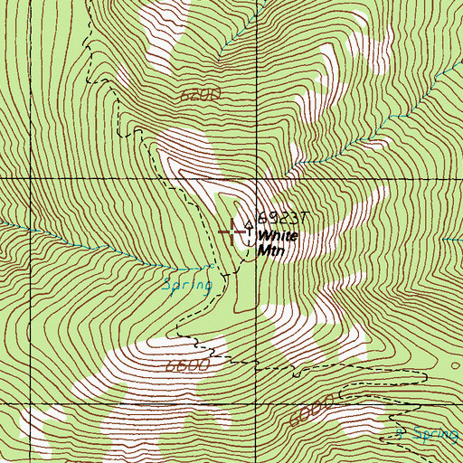 Topographic Map of White Mountain, WA