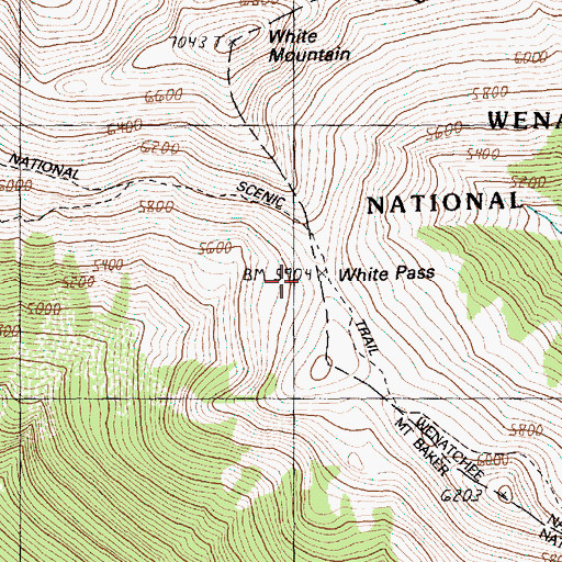 Topographic Map of White Pass, WA