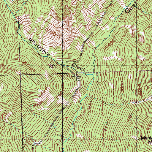 Topographic Map of Whiteface Creek, WA