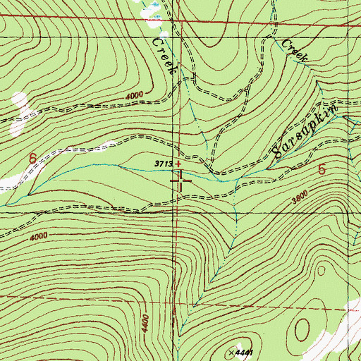 Topographic Map of Wickiup Creek, WA