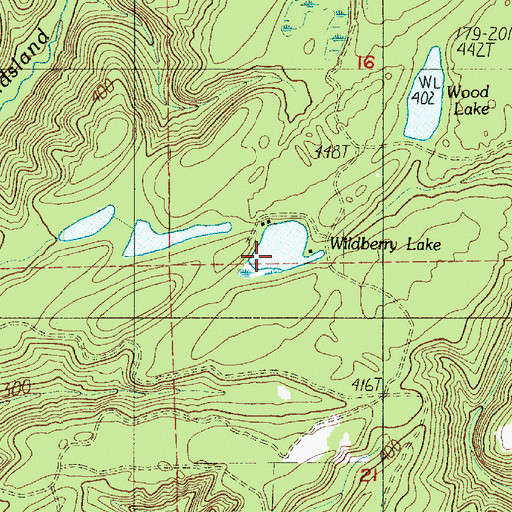 Topographic Map of Wildberry Lake, WA